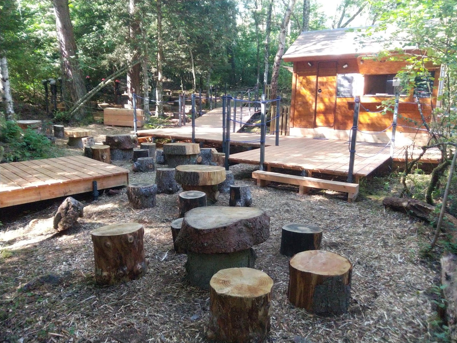 Photo 2 de La Forêt des Arboris