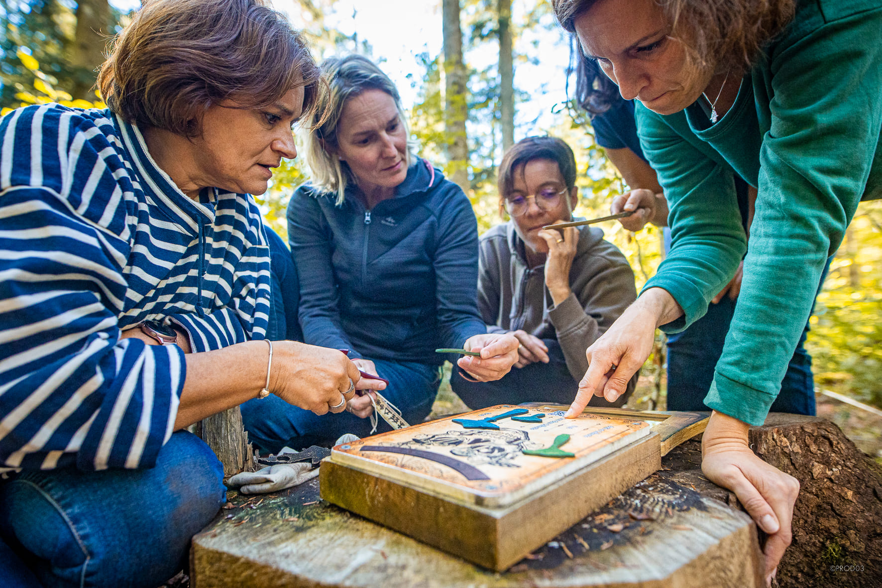 Photo 3 de La Forêt des Arboris
