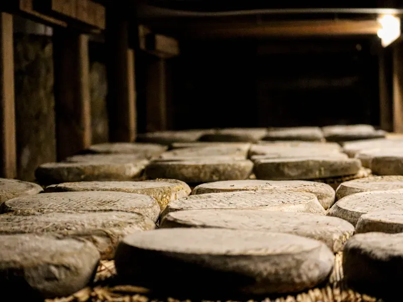 La Maison du Fromage, activité à Saint-Nectaire dans le Puy-de-Dôme