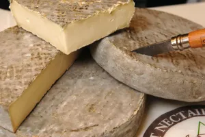 La Maison du Fromage — vue 2, activité à Saint-Nectaire (Puy-de-Dôme)