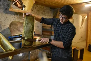 La Ruche des Puys — vue 2, activité à Saint-Ours-les-Roches (Puy-de-Dôme)