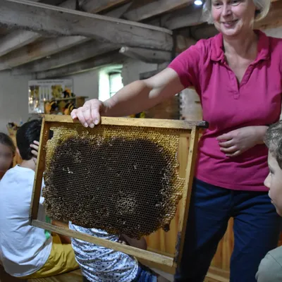 La Ruche des Puys — vue 3, activité à Saint-Ours-les-Roches (Puy-de-Dôme)