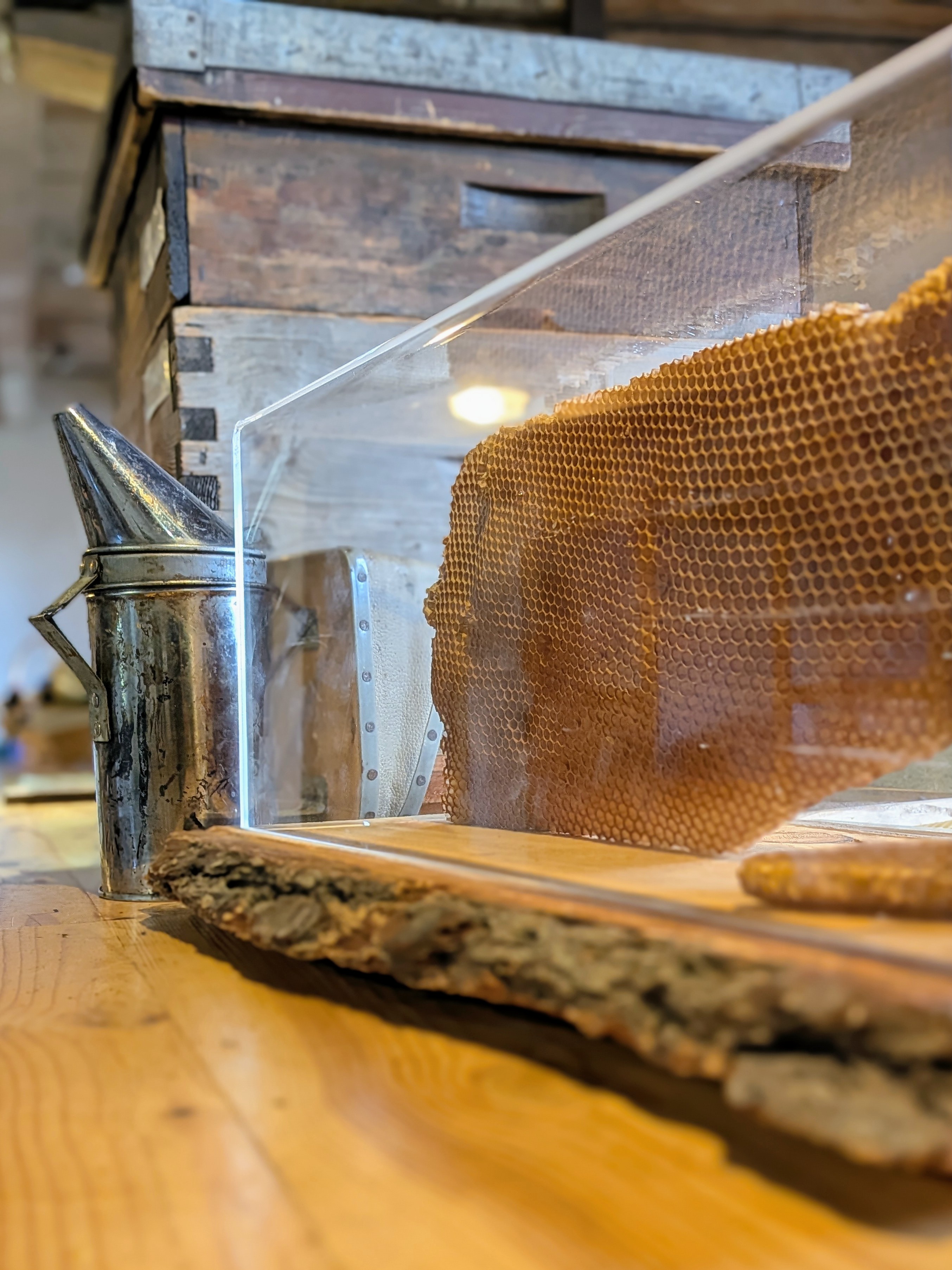 Photo 6 de La Ruche des Puys