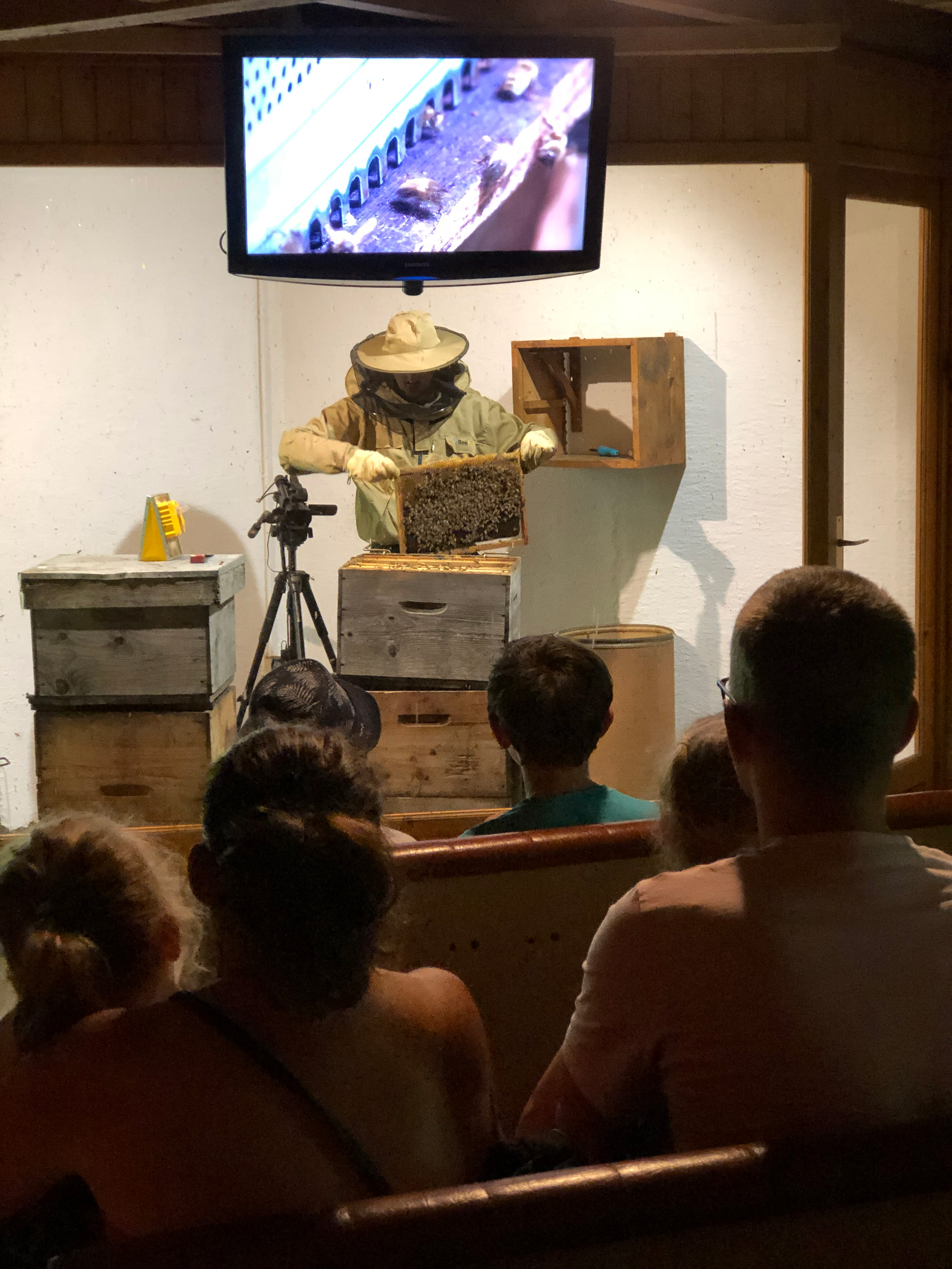 Photo 7 de La Ruche des Puys