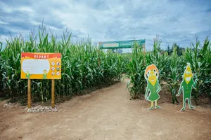 Popcorn Labyrinthe — vue 2, activité à Bromont-Lamothe (Puy-de-Dôme)