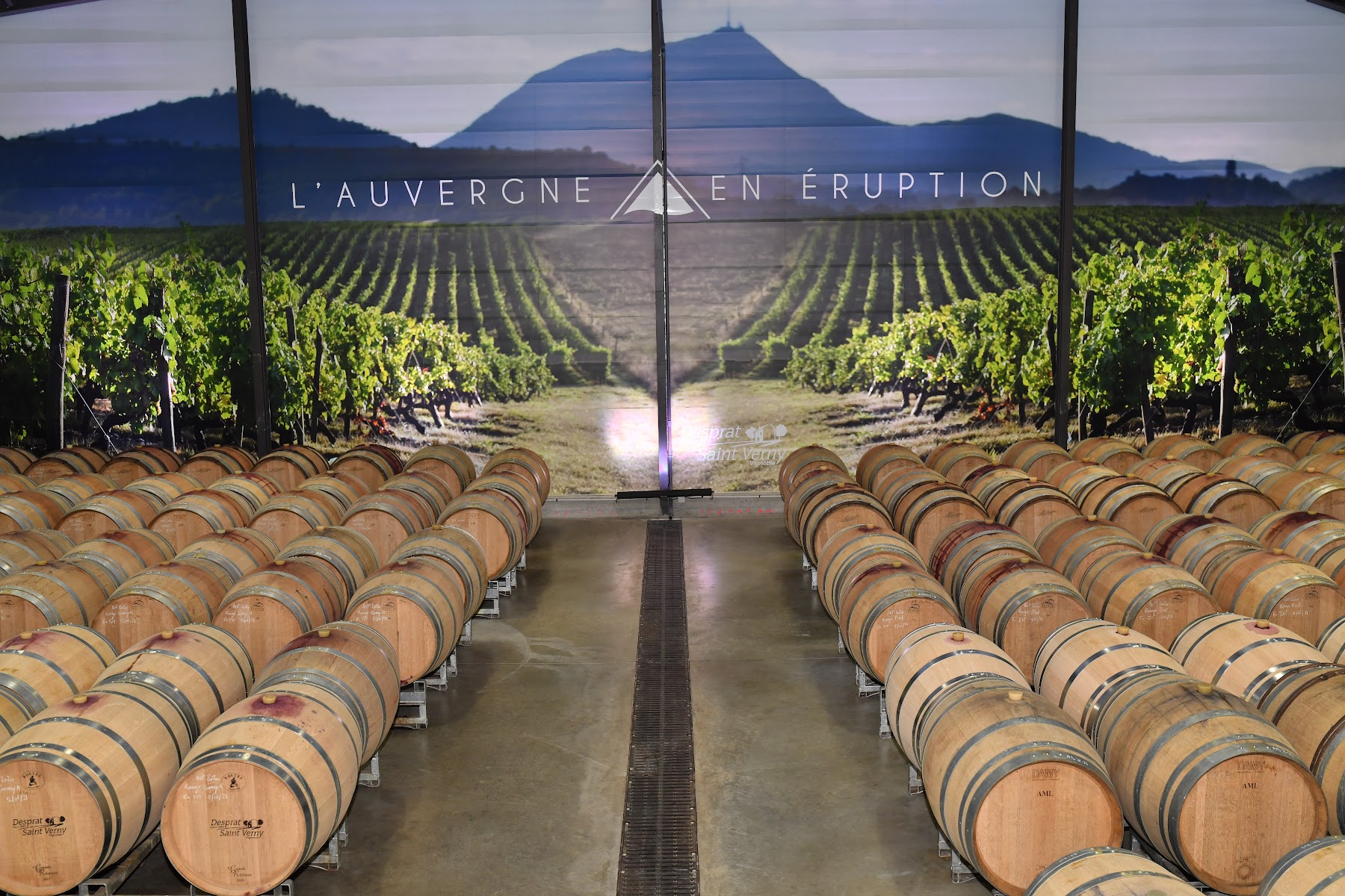 Photo 4 de Vignoble Desprat Saint Verny