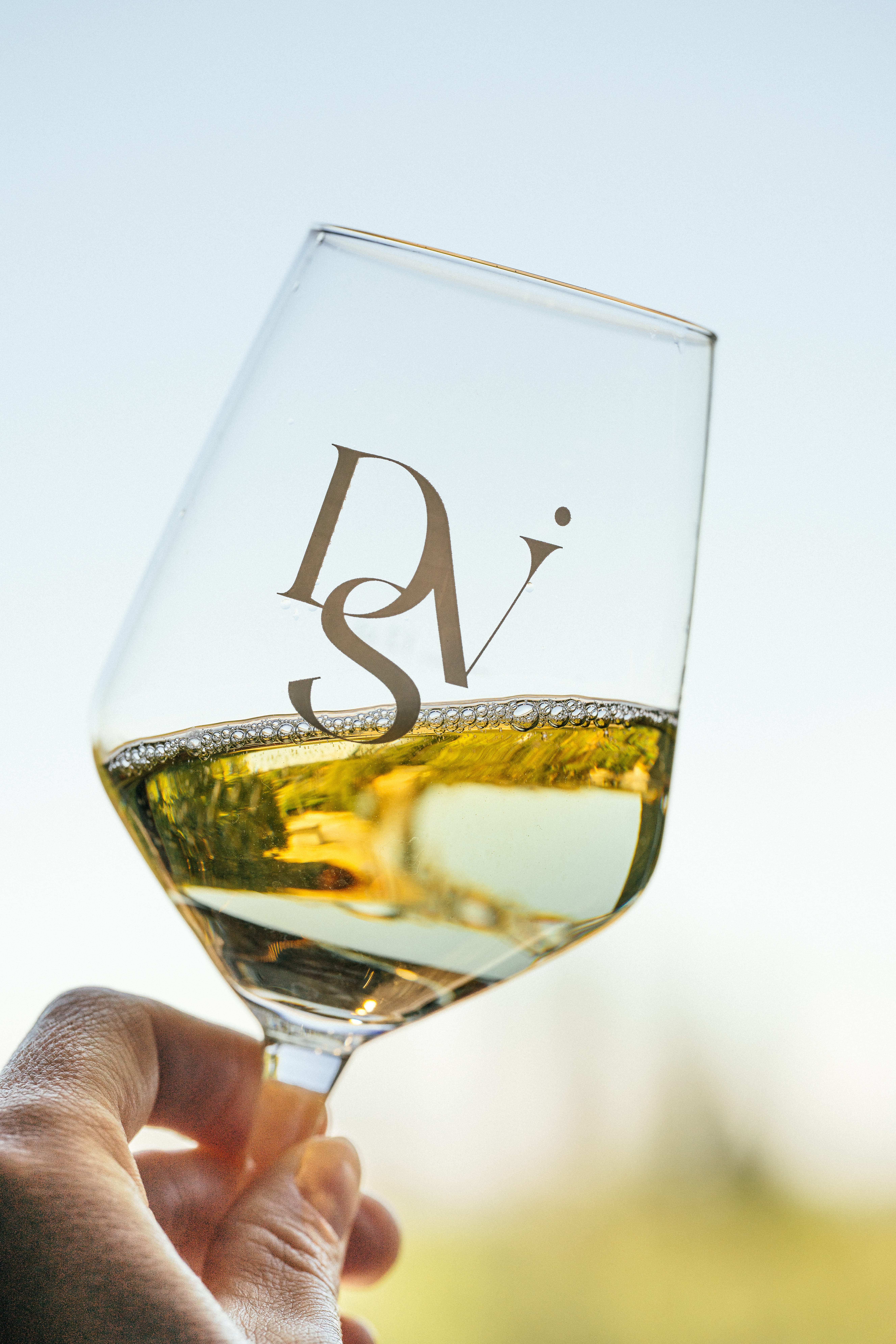 Photo 6 de Vignoble Desprat Saint Verny